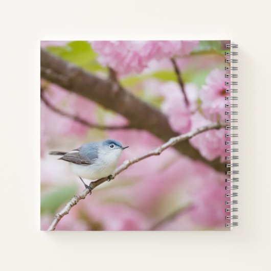 Carnet Oiseau dans l'arbre à fleurs roses (Dos)