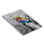Carnet Oiseau d'arc-en-ciel (Côté Droit)