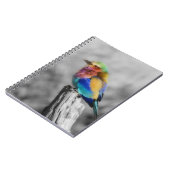 Carnet Oiseau d'arc-en-ciel (Côté gauche)