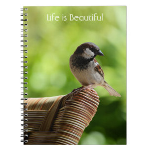 Carnet Oiseau de Kauai Hawaï (ma photographie)