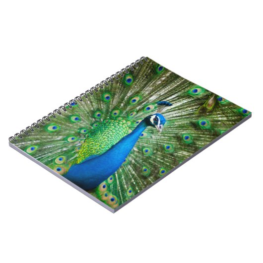 Carnet Oiseau de paon coloré (Côté gauche)