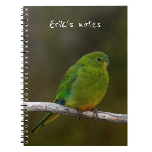 Carnet Oiseau de perroquet à ventre orange Australie