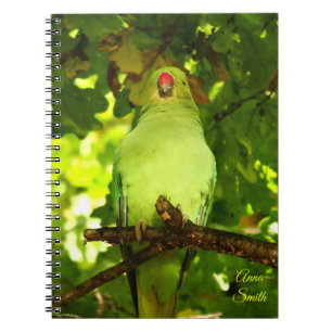 Carnet Oiseau de perroquet vert