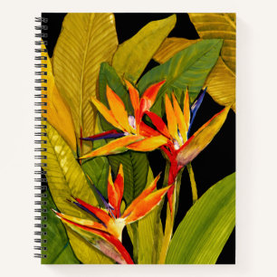 Carnet Oiseau du Paradis