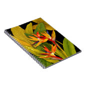 Carnet Oiseau du Paradis (Côté Droit)