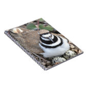 Carnet Oiseau Killdeer avec des œufs (ma photographie) (Côté Droit)