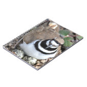 Carnet Oiseau Killdeer avec des œufs (ma photographie) (Côté gauche)
