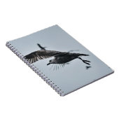 CARNET OISEAU NOIR ET BLANC (Côté Droit)