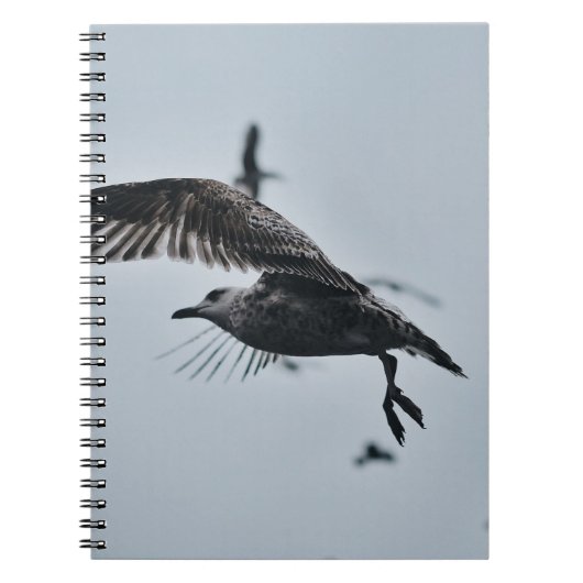 CARNET OISEAU NOIR ET BLANC (Devant)