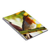 Carnet Oiseau rouge de sein de Robin (Côté Droit)