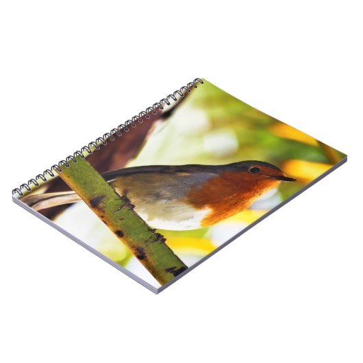 Carnet Oiseau rouge de sein de Robin (Côté gauche)