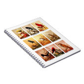 Carnet Oiseaux (Côté Droit)