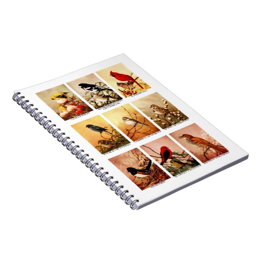 Carnet Oiseaux (Côté Droit)