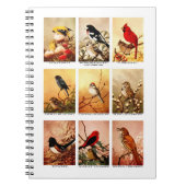 Carnet Oiseaux (Devant)