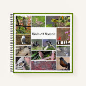 Carnet Oiseaux de Boston (Devant)