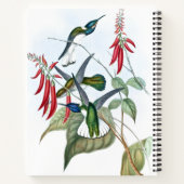 Carnet Oiseaux de colibri Faune Spirale Florale Notebook (Dos)