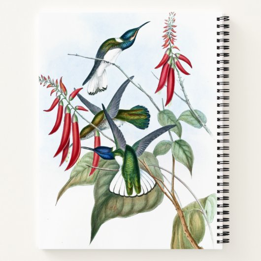 Carnet Oiseaux de colibri Faune Spirale Florale Notebook (Dos)