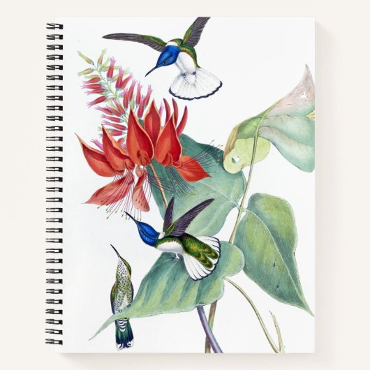 Carnet Oiseaux de colibri Faune Spirale Florale Notebook (Devant)