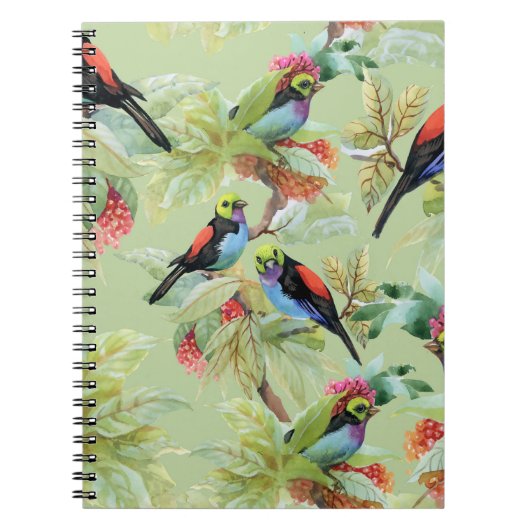 Carnet Oiseaux de fleurs d'été : Motif tropical (Devant)