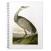 Carnet Oiseaux de John James Audubon de grue de Sandhill (Devant)