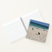 Carnet Oiseaux de mer & Gribouillages (Intérieur)