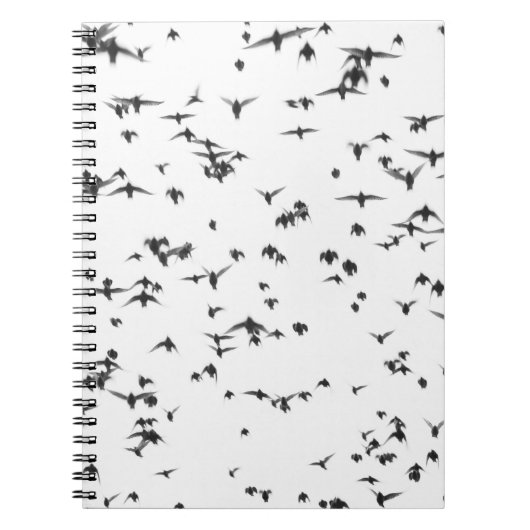 CARNET OISEAUX NOIRS VOLANT SUR LE CIEL (Devant)