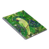 Carnet oiseaux, perroquets (Côté Droit)