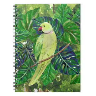 Carnet oiseaux , perroquets