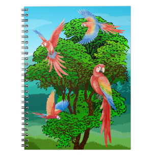 Carnet oiseaux , perroquets