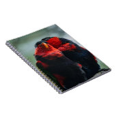 Carnet Oiseaux, Perroquets, Ornithologie (Côté Droit)