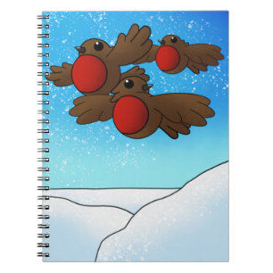 Carnet Oiseaux Robin de Noël