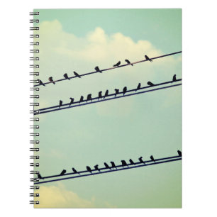 Carnet Oiseaux sur fil, ciel bleu vintage.