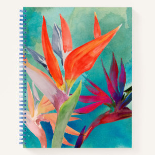 Carnet Oiseaux vivants du paradis
