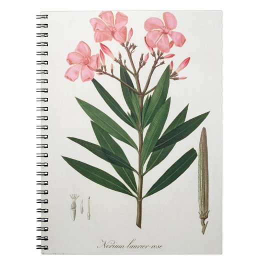 Carnet Oléandre de "Phytographie Medicale" par le RO de (Devant)