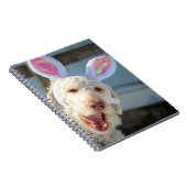 Carnet Ollie de Pâques (Côté Droit)