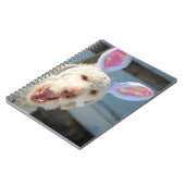 Carnet Ollie de Pâques (Côté gauche)