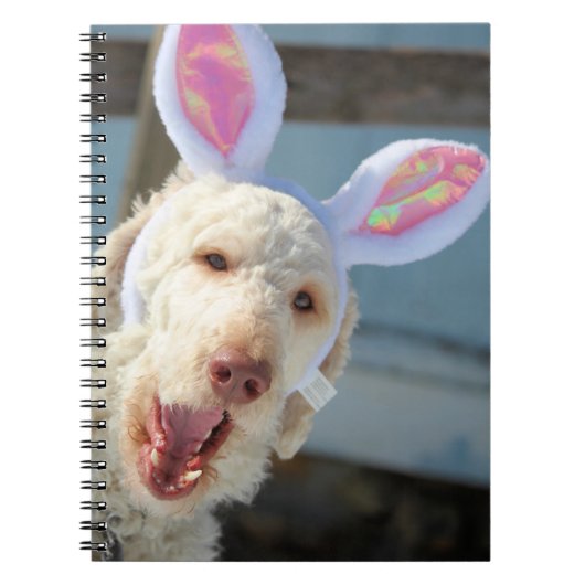 Carnet Ollie de Pâques (Devant)