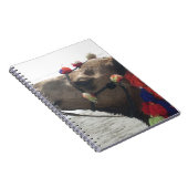 Carnet Oman Mascate Photo Art (Côté Droit)