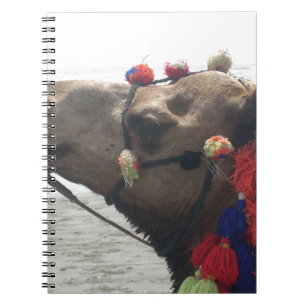 Carnet Oman Mascate Photo Art