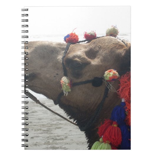 Carnet Oman Mascate Photo Art (Devant)