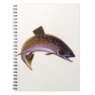 Carnet Omble de fontaine, pêche sportive vintage pêcheur