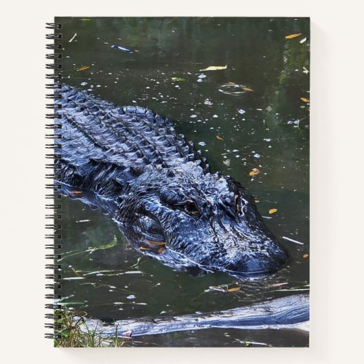 Carnet Ombre dans les Hauts-Fonds (Devant)