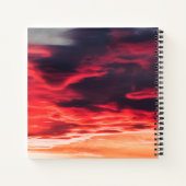 Carnet onde féline (Dos)