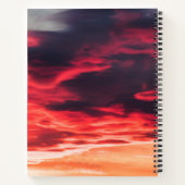 Carnet onde féline (Dos)