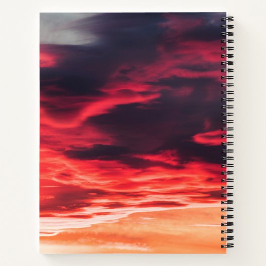 Carnet onde féline (Dos)