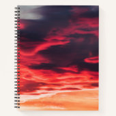 Carnet onde féline (Devant)