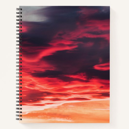 Carnet onde féline (Devant)