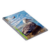 Carnet Ondulations (Côté Droit)