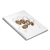 Carnet Ongles de vieille fortune (Côté Droit)