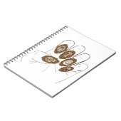 Carnet Ongles de vieille fortune (Côté gauche)